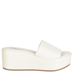 TAMANCO PLATAFORMA MOLECA