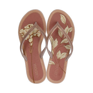 GRENDHA MAIS ACAI ENERGIA CHINELO