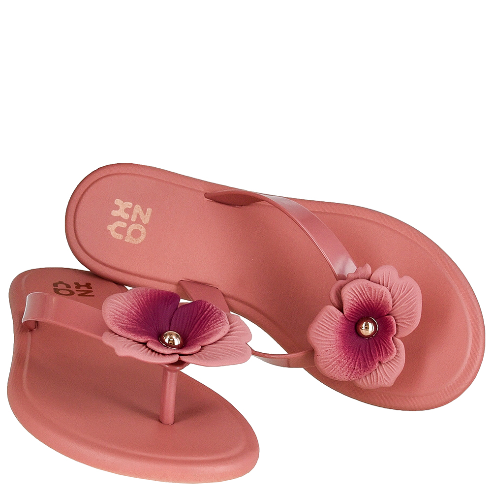 花子2605  ZAXY FLORESCER RAST AD | Di Santinni