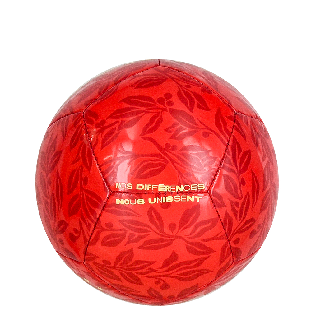 BOLA CAMPO FFF SKLS NIKE image number 3