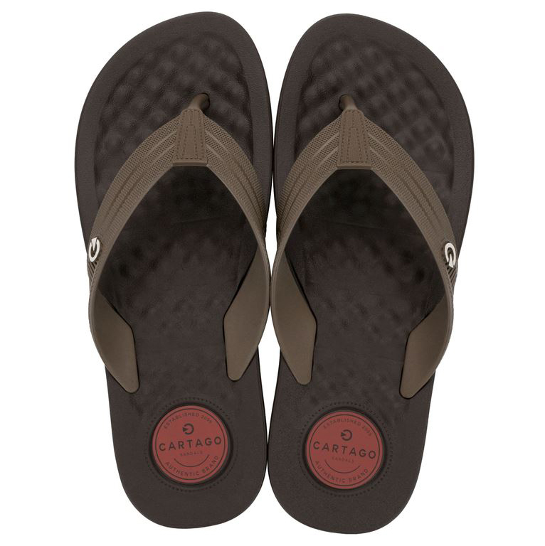 CHINELO MASC LOW CARTAGO image number 0