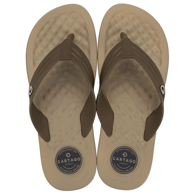 CHINELO MASC LOW CARTAGO image number 0