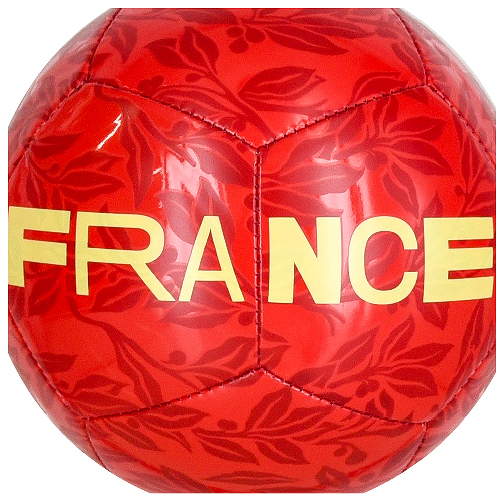 BOLA CAMPO FFF SKLS NIKE image number 1